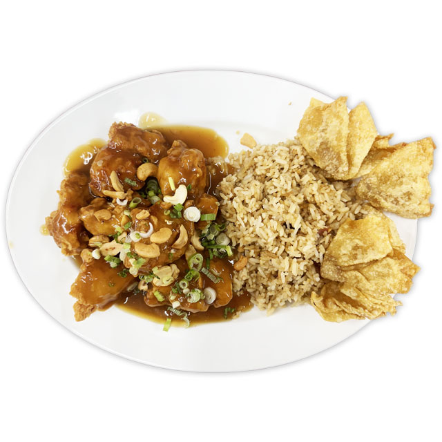 FULL COMBO MEALS (Rice or Noodles)